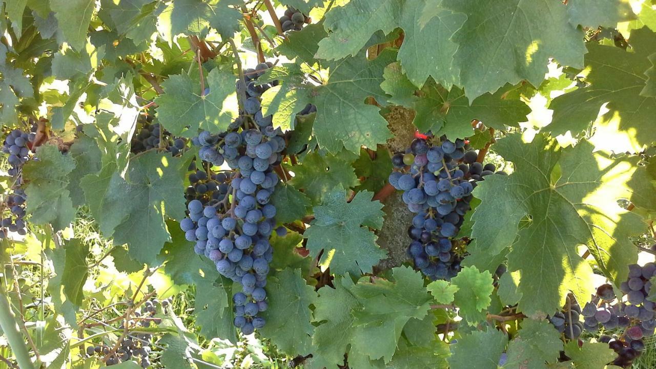 Agriturismo Le Giarine Fogliano Redipúglia Exteriér fotografie
