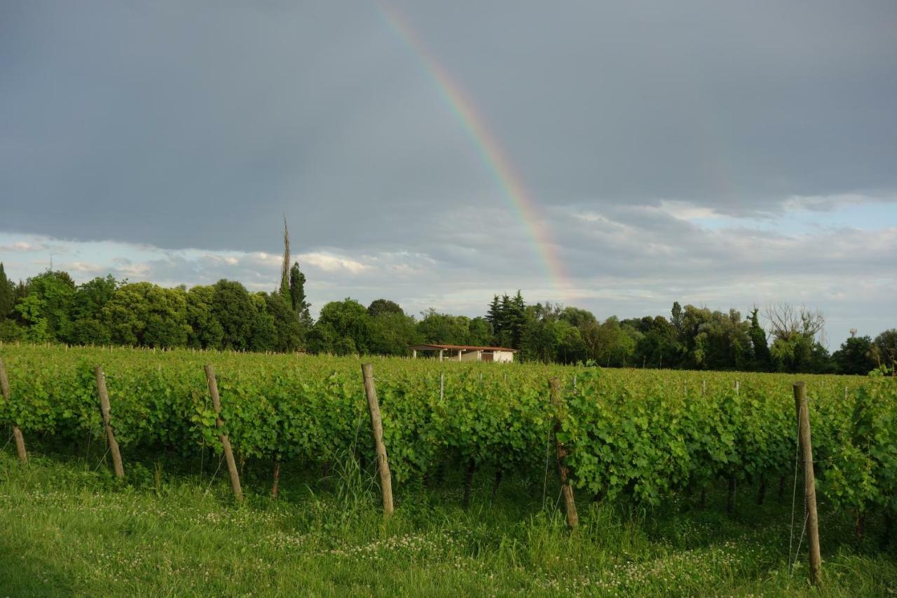 Agriturismo Le Giarine Fogliano Redipúglia Exteriér fotografie