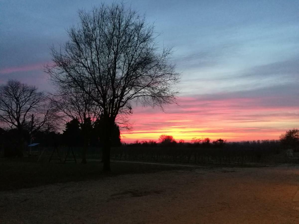 Agriturismo Le Giarine Fogliano Redipúglia Exteriér fotografie